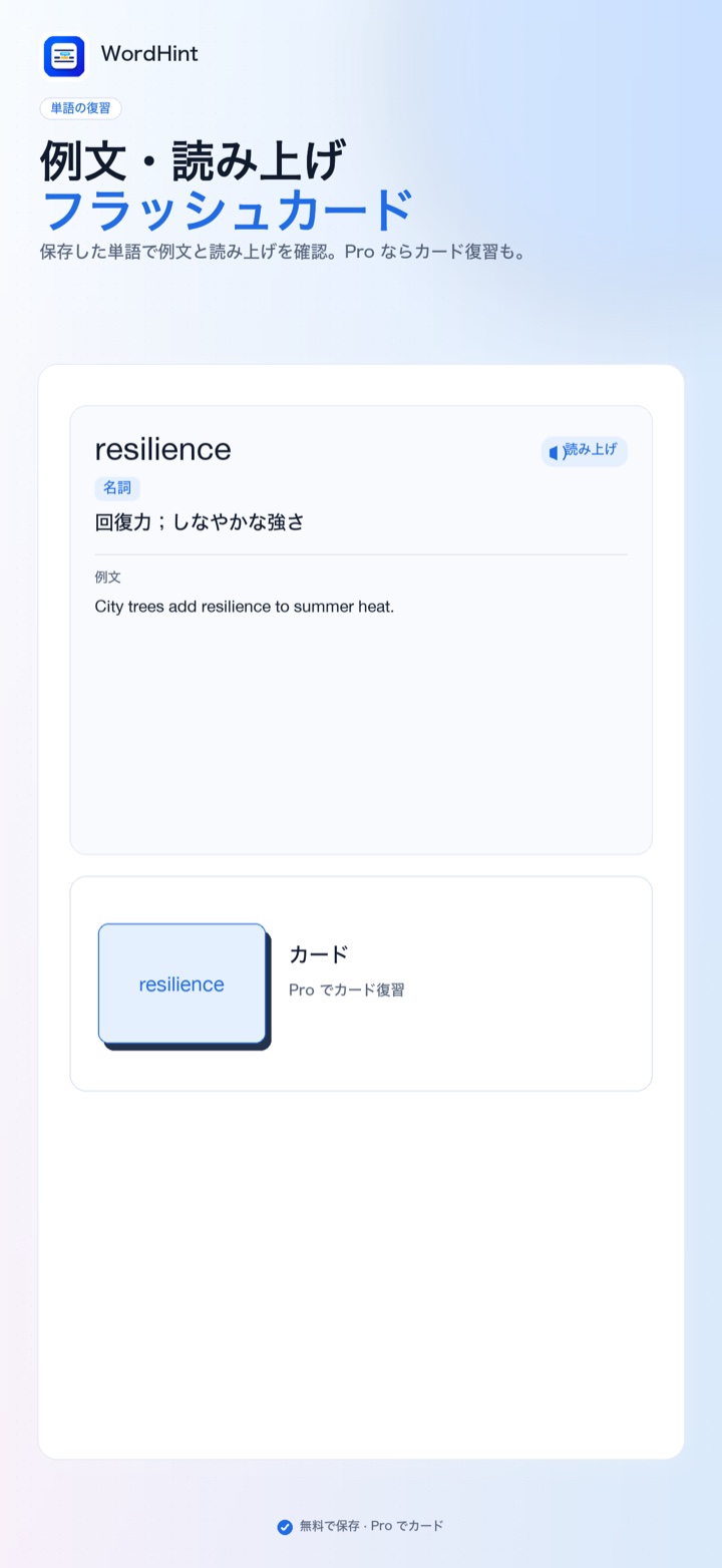 例文、読み上げ、フラッシュカードの単語画面